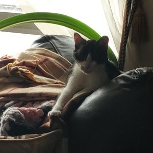 Meet your Posher, Carrie